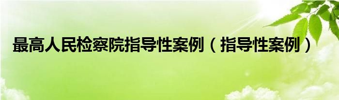 最高人民检察院指导性案例(指导性案例)