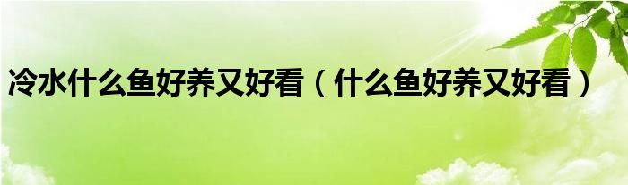 冷水什么鱼好养又好看(什么鱼好养又好看)