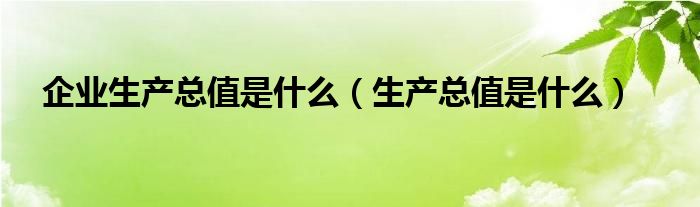 企业生产总值是什么(生产总值是什么)