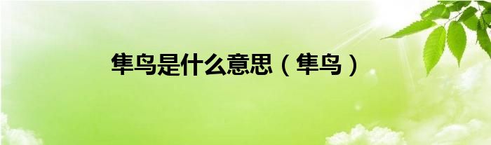 隼鸟是什么意思（隼鸟）
