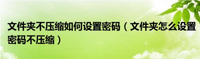 文件夹不压缩如何设置密码(文件夹怎么设置密码不压缩)