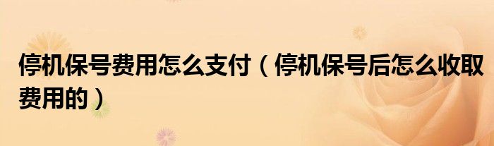 停机保号费用怎么支付(停机保号后怎么收取费用的)