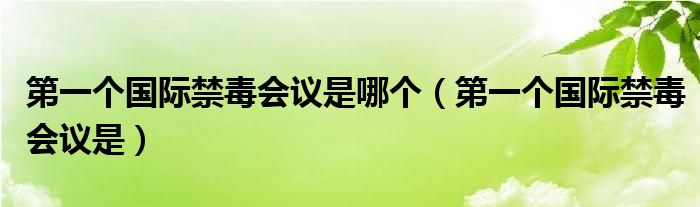 第一个国际禁毒会议是哪个(第一个国际禁毒会议是)