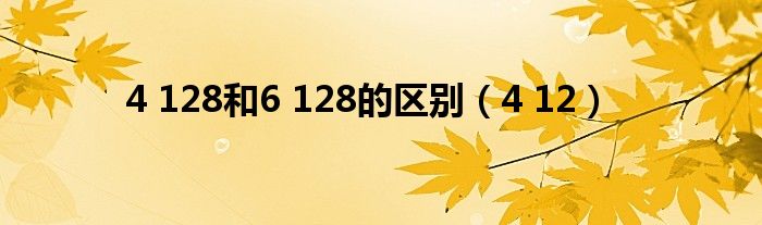 4 128和6 128的区别(4 12)
