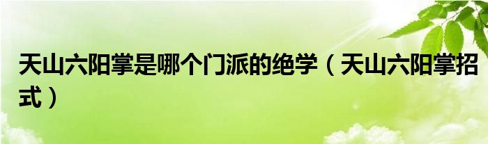 天山六阳掌是哪个门派的绝学(天山六阳掌招式)