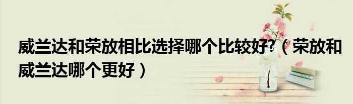 威兰达和荣放相比选择哪个比较好?(荣放和威兰达哪个更好)