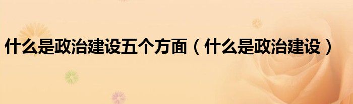 什么是政治建设五个方面(什么是政治建设)