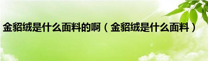 金貂绒是什么面料的啊(金貂绒是什么面料)