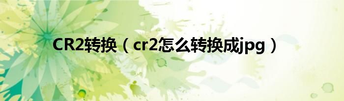 CR2转换(cr2怎么转换成jpg)