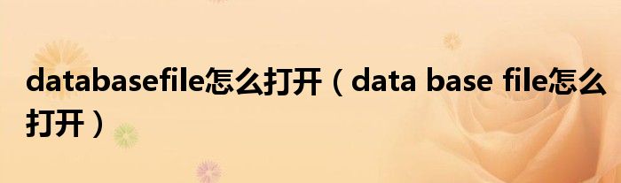 databasefile怎么打开(data base file怎么打开)