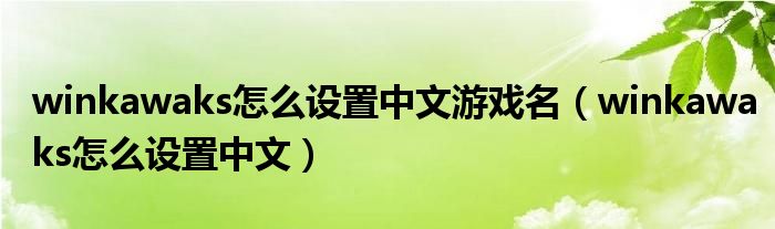 winkawaks怎么设置中文游戏名(winkawaks怎么设置中文)
