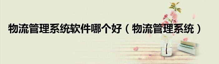 物流管理系统软件哪个好(物流管理系统)