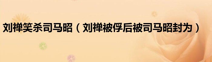 刘禅笑杀司马昭(刘禅被俘后被司马昭封为)