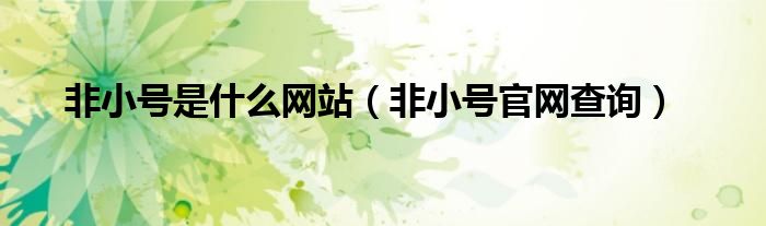 非小号是什么网站(非小号官网查询)