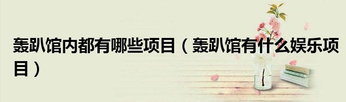 轰趴馆内都有哪些项目(轰趴馆有什么娱乐项目)
