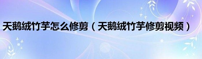 天鹅绒竹芋怎么修剪(天鹅绒竹芋修剪视频)
