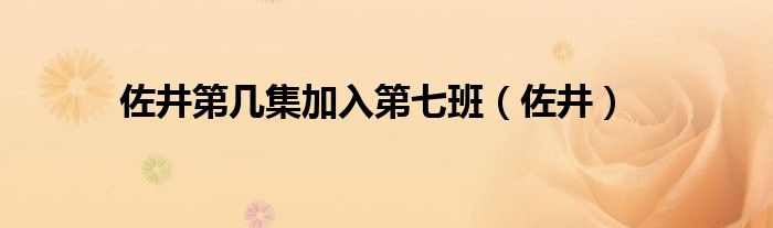 佐井第几集加入第七班(佐井)