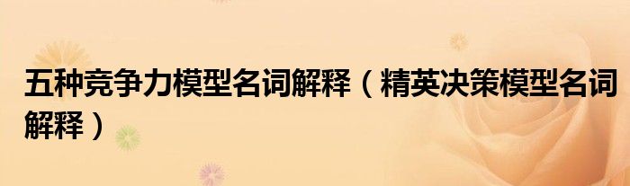 五种竞争力模型名词解释(精英决策模型名词解释)