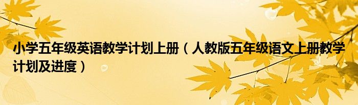 小学五年级英语教学计划上册(人教版五年级语文上册教学计划及进度)