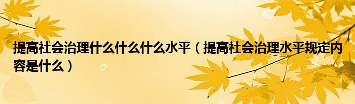 提高社会治理什么什么什么水平(提高社会治理水平规定内容是什么)