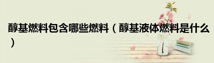 醇基燃料包含哪些燃料(醇基液体燃料是什么)