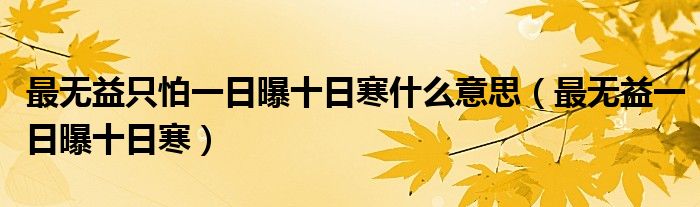 最无益只怕一日曝十日寒什么意思(最无益一日曝十日寒)