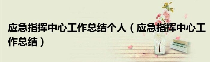 应急指挥中心工作总结个人（应急指挥中心工作总结）