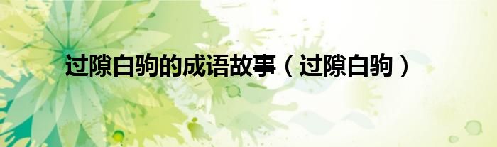 过隙白驹的成语故事(过隙白驹)