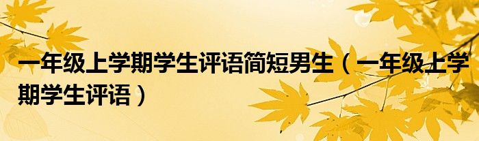 一年级上学期学生评语简短男生(一年级上学期学生评语)