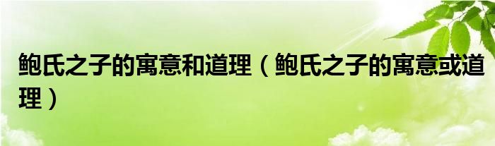 鲍氏之子的寓意和道理(鲍氏之子的寓意或道理)