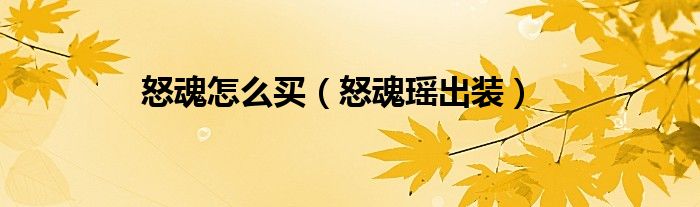 怒魂怎么买（怒魂瑶出装）