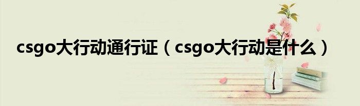 csgo大行动通行证(csgo大行动是什么)