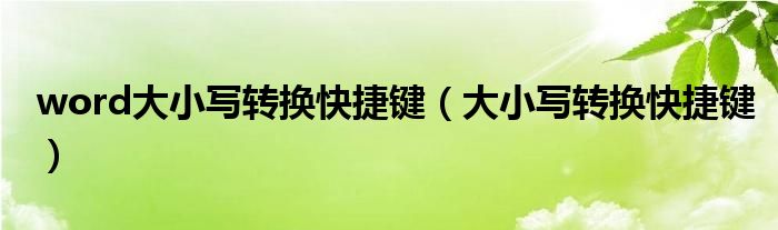 word大小写转换快捷键(大小写转换快捷键)