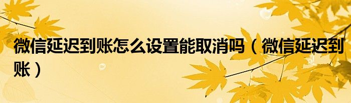 微信延迟到账怎么设置能取消吗(微信延迟到账)