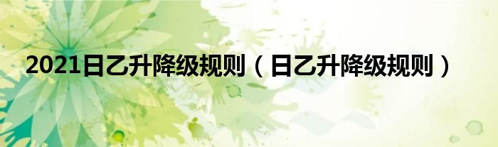 2021日乙升降级规则(日乙升降级规则)