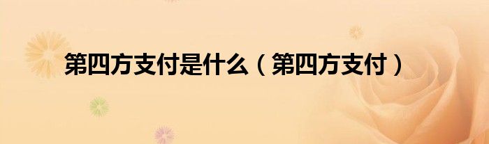第四方支付是什么(第四方支付)