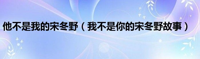 他不是我的宋冬野(我不是你的宋冬野故事)