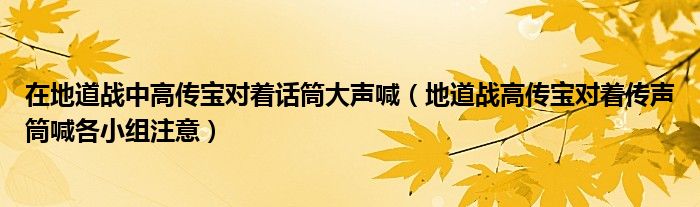在地道战中高传宝对着话筒大声喊(地道战高传宝对着传声筒喊各小组注意)