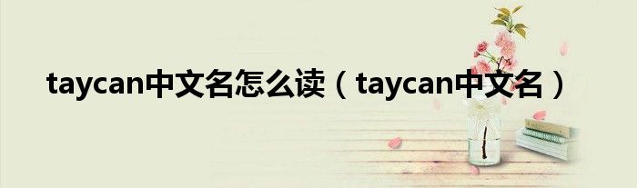 taycan中文名怎么读(taycan中文名)