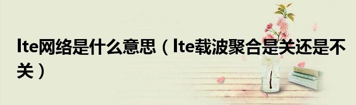 lte网络是什么意思(lte载波聚合是关还是不关)