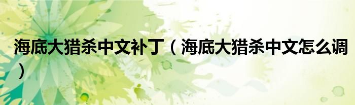 海底大猎杀中文补丁(海底大猎杀中文怎么调)