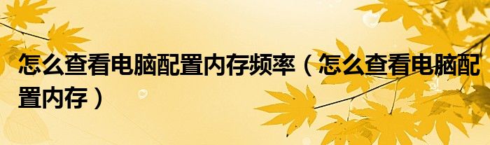 怎么查看电脑配置内存频率(怎么查看电脑配置内存)