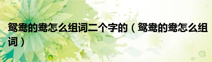 鸳鸯的鸯怎么组词二个字的(鸳鸯的鸯怎么组词)