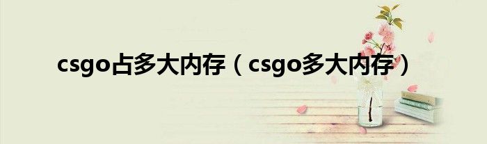 csgo占多大内存(csgo多大内存)