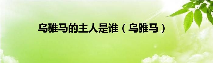 乌骓马的主人是谁(乌骓马)