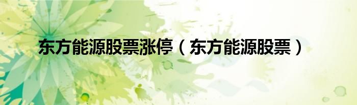 东方能源股票涨停(东方能源股票)
