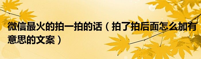 微信最火的拍一拍的话(拍了拍后面怎么加有意思的文案)