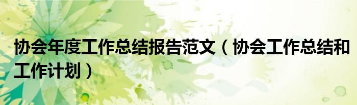 协会年度工作总结报告范文(协会工作总结和工作计划)