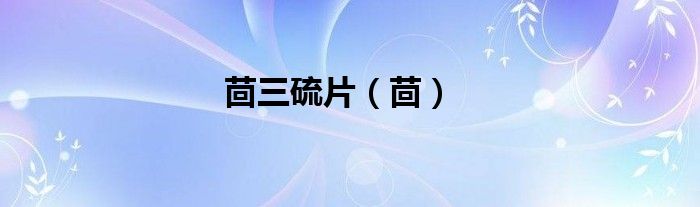 茴三硫片（茴）