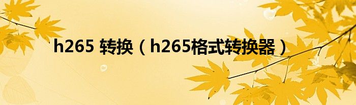 h265 转换（h265格式转换器）